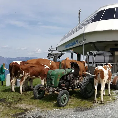 Prent Wild024 By Fewo-plan