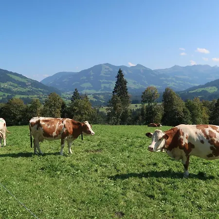 Prent Wild024 By Fewo-plan