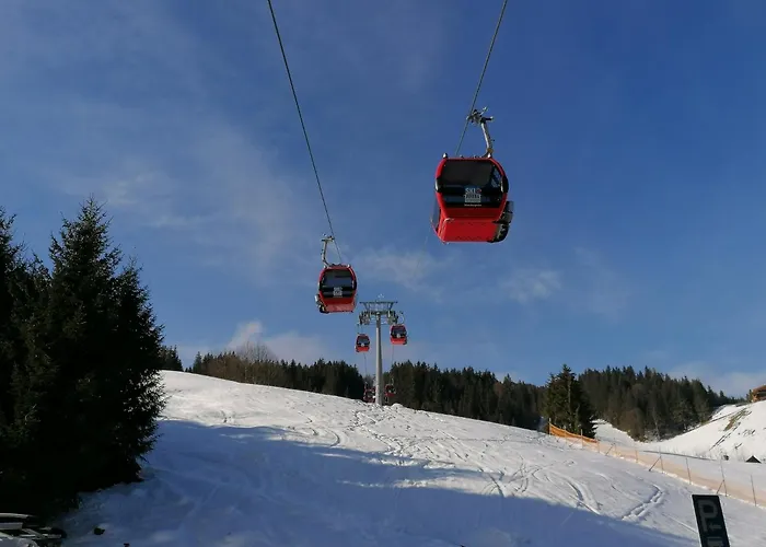 Prent Wild024 By Fewo-plan فيلدشوناو