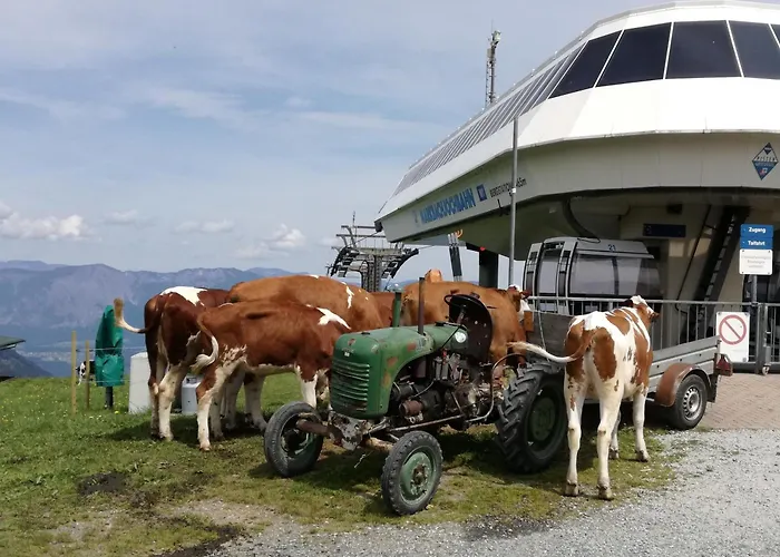 Prent Wild024 By Fewo-plan