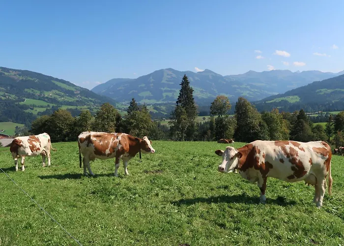 Prent Wild024 By Fewo-plan